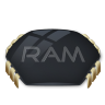 Ram 02 Icon 96x96 png
